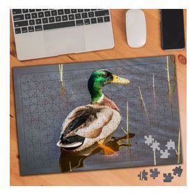 1375722 Göldeki Yeşil Kafalı Ördek 240 Parça Puzzle Yapboz