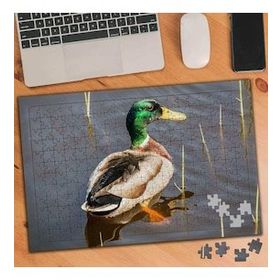 1375722 Göldeki Yeşil Kafalı Ördek 240 Parça Puzzle Yapboz
