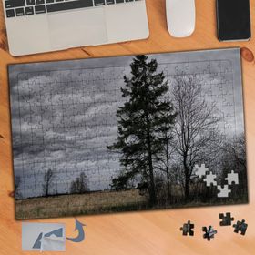 141 Bulutlu Gökyüzü Çam Ağaçları 240 Parça Puzzle Yapboz Tablo