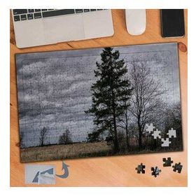 141 Bulutlu Gökyüzü Çam Ağaçları 240 Parça Puzzle Yapboz Tablo