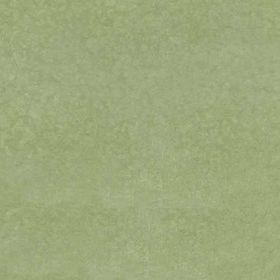14Oraitaliana Grıgıo 14 Cemento Verde 2 80x80 cm Yer Duvar Karosu