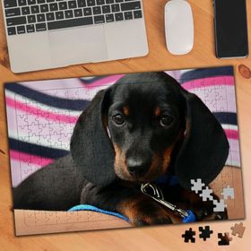 1519374 Kara Oğlan Yavru Köpekcik 240 Parça Puzzle Yapboz