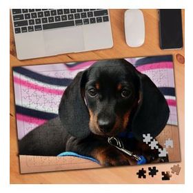 1519374 Kara Oğlan Yavru Köpekcik 240 Parça Puzzle Yapboz