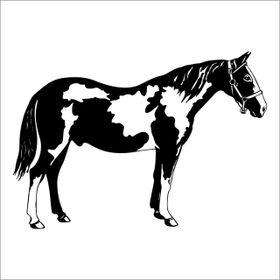 160 cm At Folyo Sticker