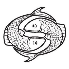 160 cm Balık Folyo Sticker