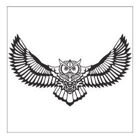 160 cm Baykuş Folyo Sticker