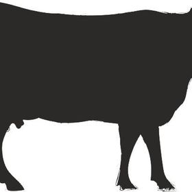 160 cm İnek Folyo Sticker