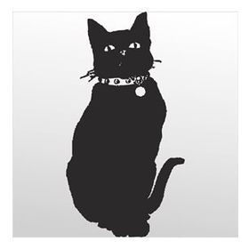 160 cm Kedi Folyo Sticker