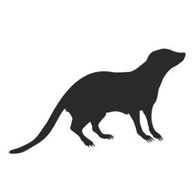 160 cm Sansar Folyo Sticker