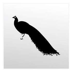 160 cm Tavuz Kuşu Folyo Sticker