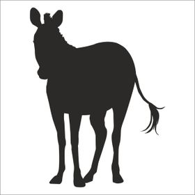 160 cm Zebra Folyo Sticker