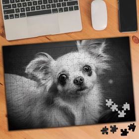 1626948 Tüylü Çivava Siyah Beyaz 240 Parça Puzzle Yapboz