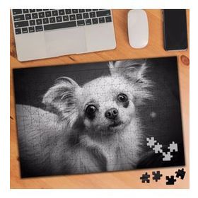 1626948 Tüylü Çivava Siyah Beyaz 240 Parça Puzzle Yapboz