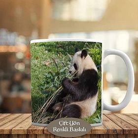 165 Çimenler Arasında Mutlu Panda Baskılı Kupa Bardak