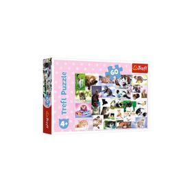 17332 Trefl/60 Puzzle Cats World Yapboz