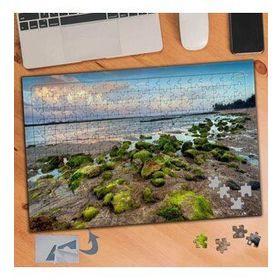 182 Yosun Tutmuş Taş ve Deniz Manzara 240 Parça Puzzle Yapboz Tablo