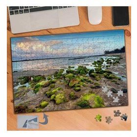 182 Yosun Tutmuş Taş ve Deniz Manzara 240 Parça Puzzle Yapboz Tablo