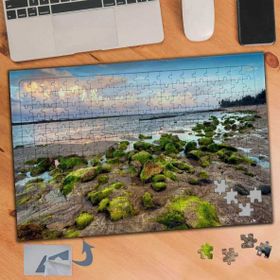 182 Yosun Tutmuş Taş ve Deniz Manzara 240 Parça Puzzle Yapboz Tablo