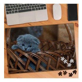 1845789 Üzgün British Shorthair Kedi 240 Parça Puzzle Yapboz