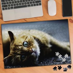 1846431 İlgi Bekleyen Sarıbacak 240 Parça Puzzle Yapboz