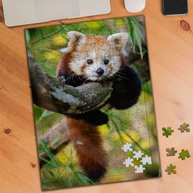 1852860 Yavru Kızıl Tilki 240 Parça Puzzle Yapboz
