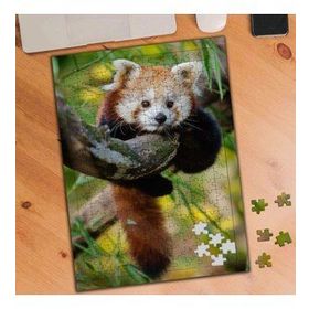 1852860 Yavru Kızıl Tilki 240 Parça Puzzle Yapboz