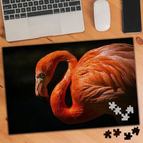 1854210 Muhteşem Flamingo 240 Parça Puzzle Yapboz