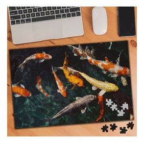 1868779 Rengarenk Süslü Balıklar 240 Parça Puzzle Yapboz