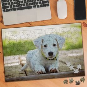 1903313 Tatlı Beyaz Yavru Köpek 240 Parça Puzzle Yapboz