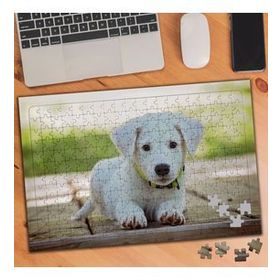 1903313 Tatlı Beyaz Yavru Köpek 240 Parça Puzzle Yapboz