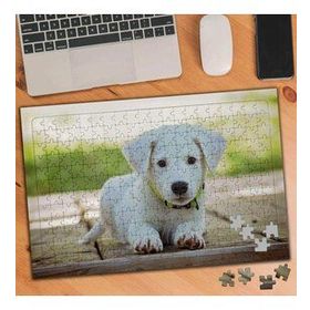 1903313 Tatlı Beyaz Yavru Köpek 240 Parça Puzzle Yapboz