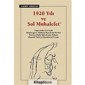 1920 YILI VE SOL MUHALEFET - HAMIT ERDEM