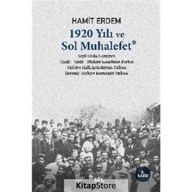 1920 YILI VE SOL MUHALEFET - HAMIT ERDEM