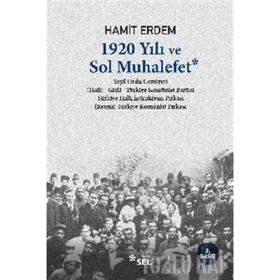 1920 YILI VE SOL MUHALEFET - HAMIT ERDEM