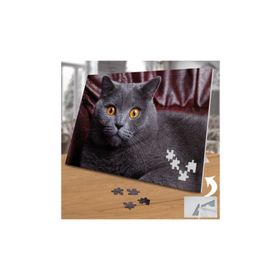 19706418 Scottish Sevimli Kedicik 240 Parça Puzzle Yapboz