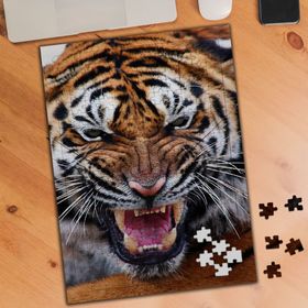 19706466 Kükreyen Vahşi Hayvan Kaplan 240 Parça Puzzle Yapboz