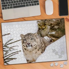 1985510 Kar Kaplanı 240 Parça Puzzle Yapboz