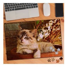 1995961 Uyuyan Sevimli Kedi 240 Parça Puzzle Yapboz