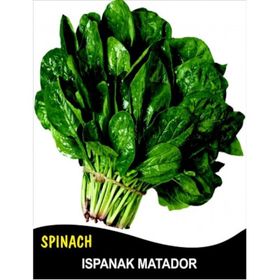 1kg Matador Ispanak Tohumu