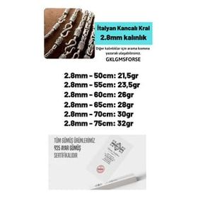 2.8 mm Zincir 240079804 İtalyan Kancalı Kral Model 925 Ayar Gümüş Erkek Kolye