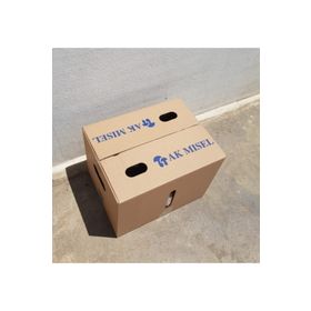 2 kg İstiridye Mantarı Tohumu