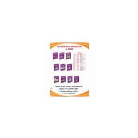 2. Sınıf 10 Kitap On Maceralı Matematik - Metafor Yayınları