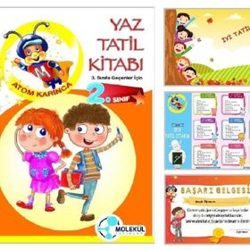 2. Sınıf Atom Karınca Yaz Tatil Kitabı Molekül Yayınları