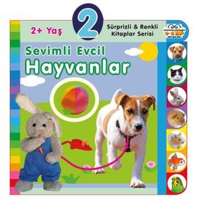 2+ Yaş Sevimli Evcil Hayvanlar - Sürprizli ve Renkli Kitaplar Seris - 0-6 Yaş Yayınları i