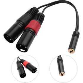20 cm 3.5 mm Stereo Dişi-2 Xlr Erkek Kablo