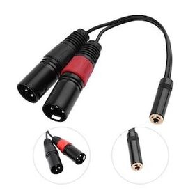 20 cm 3.5 mm Stereo Dişi-2 Xlr Erkek Kablo