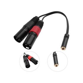 20 cm 3.5 mm Stereo Dişi-2 Xlr Erkek Kablo