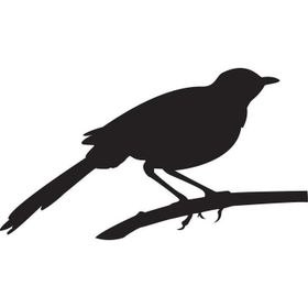20 cm Arı Kuşu Folyo Sticker