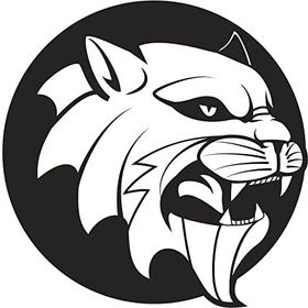 20 cm Aslan 8 Folyo Sticker