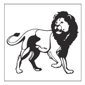 20 cm Aslan Lion Folyo Sticker